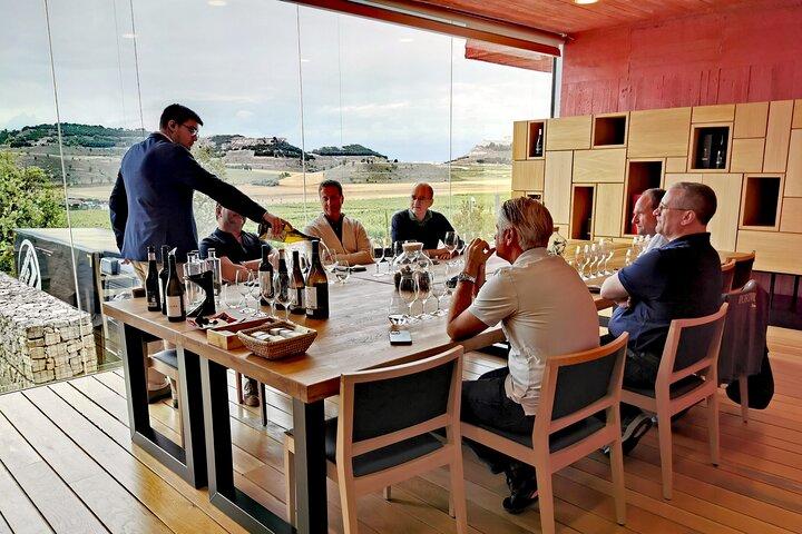 Tour Premium à Ribera del Duero com Guia Tecnólogo