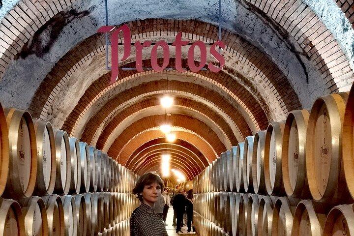 Tour Premium à Ribera del Duero com Guia Tecnólogo