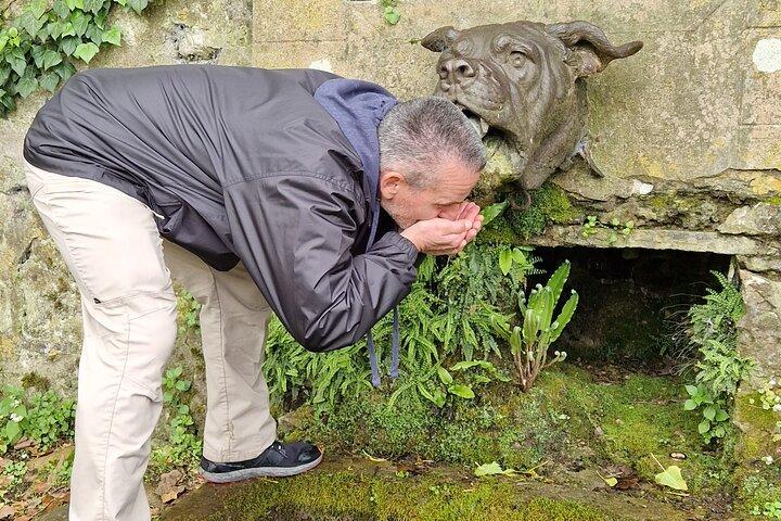 ベローの森へのプライベート ツアー 悪魔の犬とその壮大な戦い