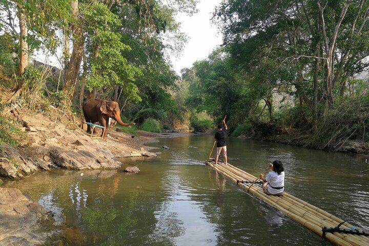 Elephant Sanctuary + Vattenfall + Bamboo Rafting Endagsutflykt