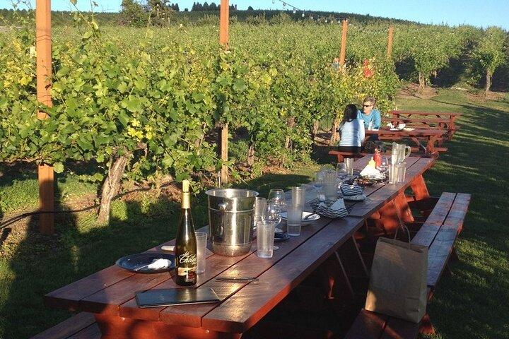 Toscane: Chianti semi-privé wijnproeverij en diner in de wijngaard