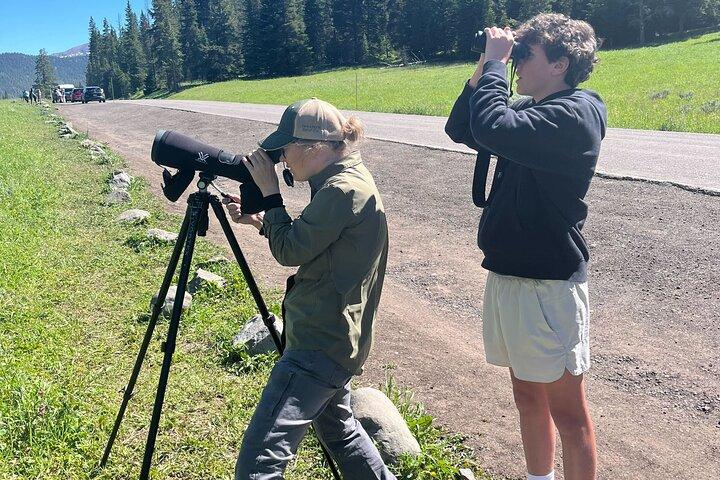 Yellowstone Wildlife Safari in Lamar Valley vanuit Bozeman