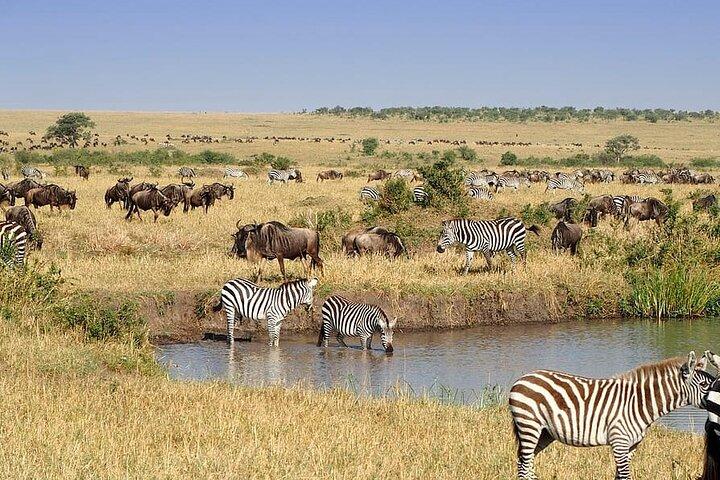 9 Tage Savannah Dreams Private Tour