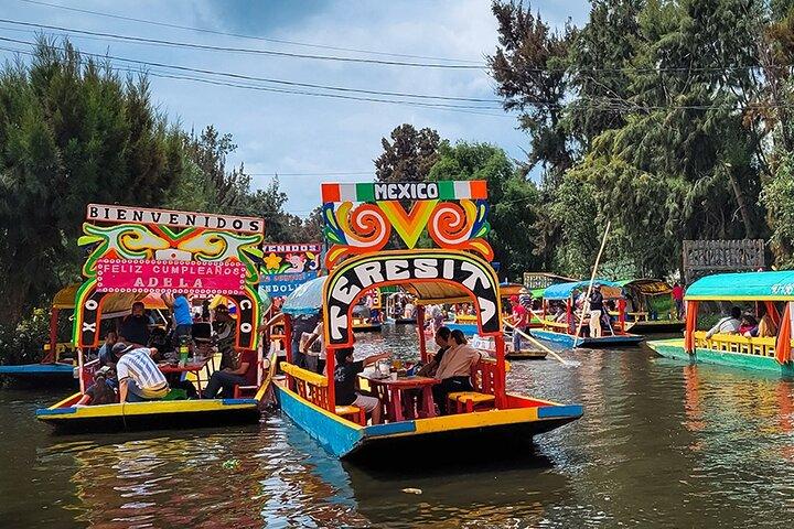メキシコシティ：ソチミルコ、コヨアカン、ユニバーシティシティツアー