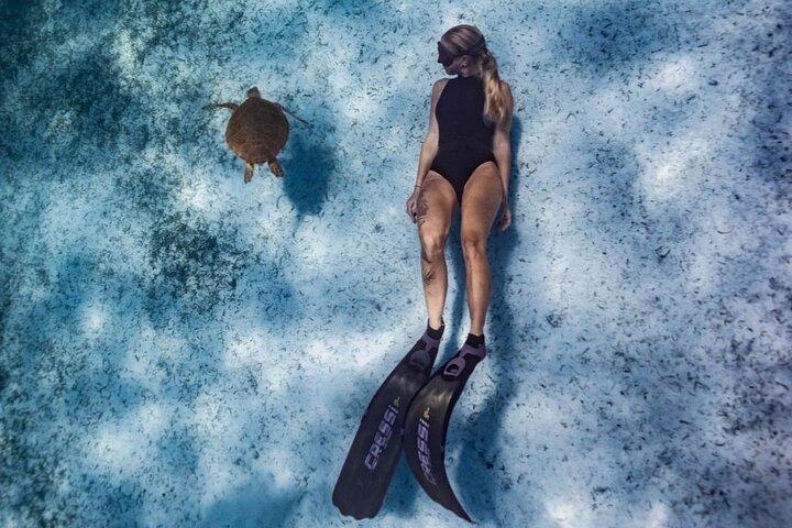 Aruba Turtle Snorkeling Private Tour with Underwater Footage