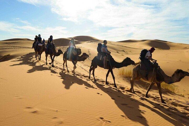 2 Days Guided Tour to Zagora from Marrakech
