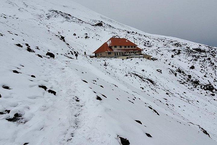Volcan Cotopaxi, au départ de Quito, excursion PRIVÉE, déjeuner inclus