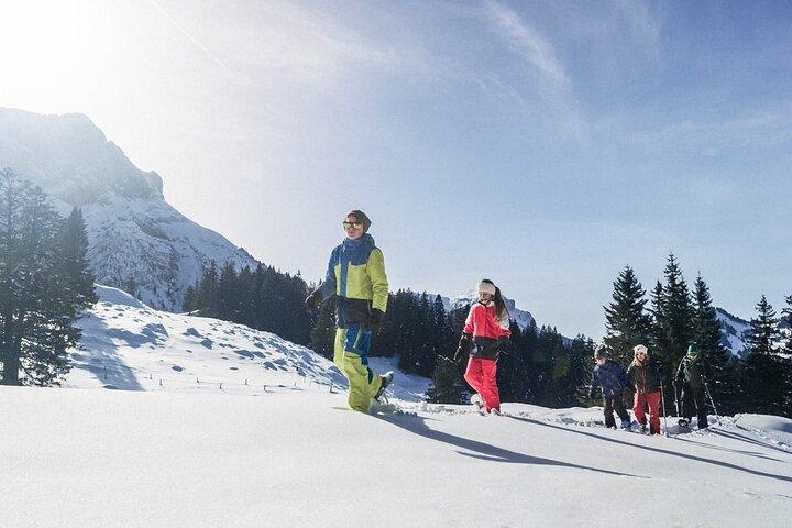 Mt. Pilatus Gondola and Aerial Cableway Ticket from Kriens