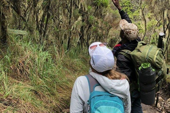 *Kilimanjaro 5 - Caminata de un día*