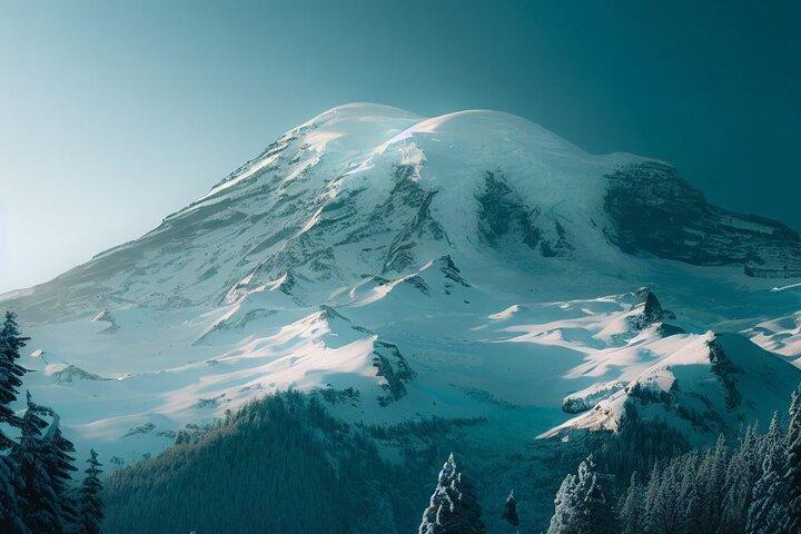 Excursion de 2 jours dans l'État de Washington à Mt Rainier et Seattle