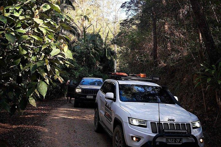 4WD guidad dagsutflykt i nationalparken D'Aguilar