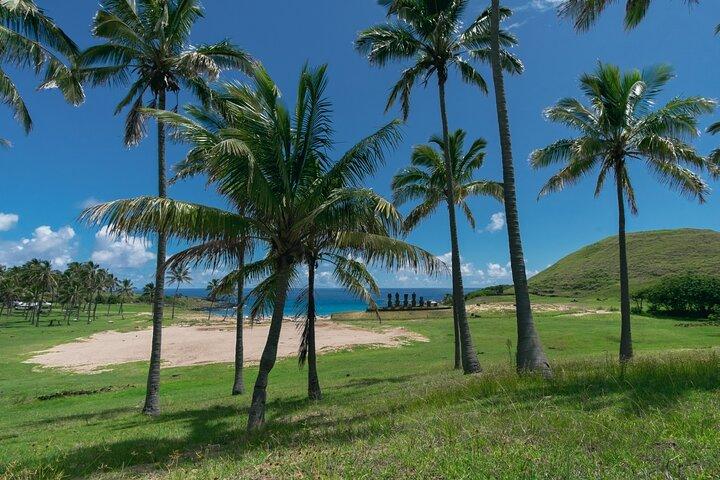 2 Days Highlights Tour in Easter Island Moai and Nature