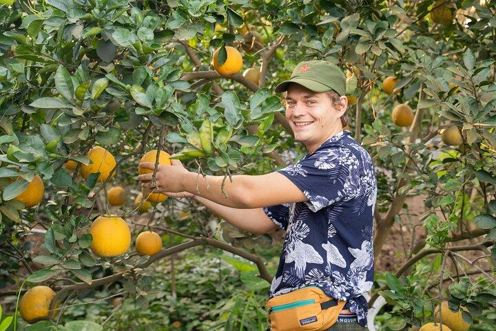 Hanoi Cooking Class in a Haven of Tranquility - Thom culinary