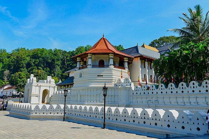Colombo to Pinnawala & Kandy Luxury Day Tour em carro / van / ônibus