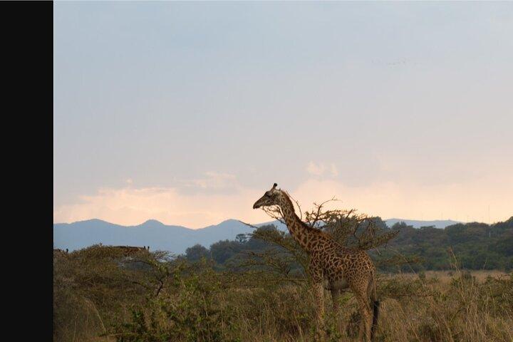 Ngong Hills Private Tour und Abenteuer ab Nairobi City