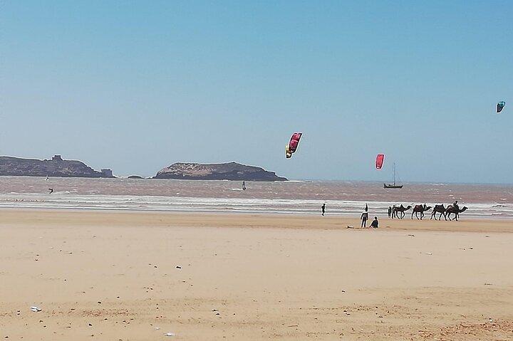 Day trip to Essaouira city from Marrakech