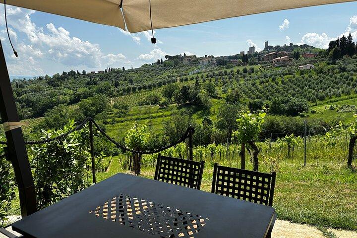 Pranzo toscano privato con degustazione di vino e olio Evo in vigna