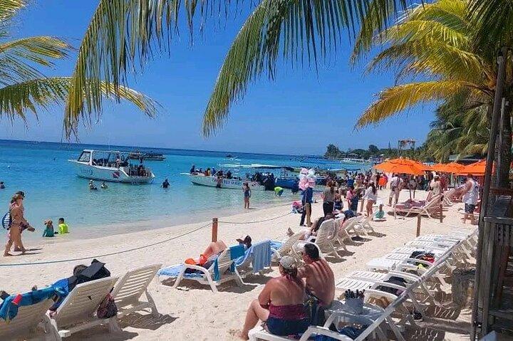 Roatan Sloths & Monkeys, Chocolate Factory plus Beach Break