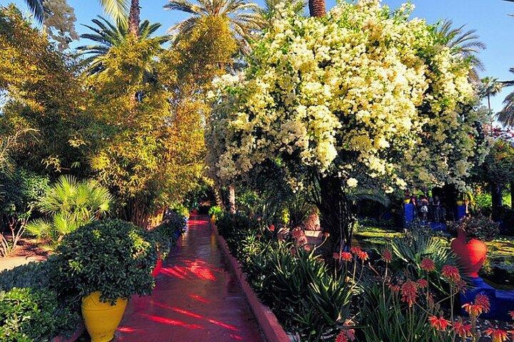 Majorelle Garden Tour com Bilhete & Pickup - suave, sem problemas.