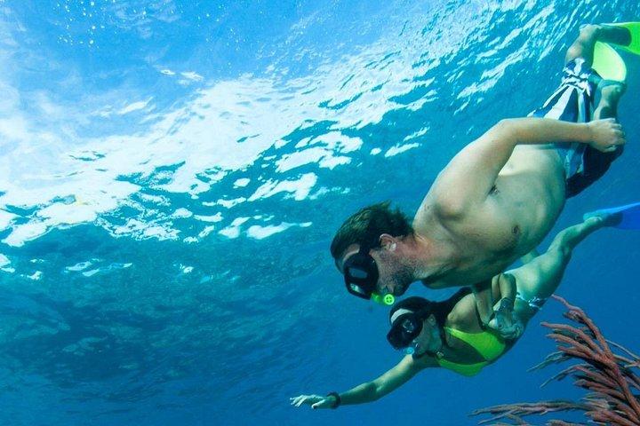 Providenciales: Emerald Reef and Shipwreck Snorkeling Tour