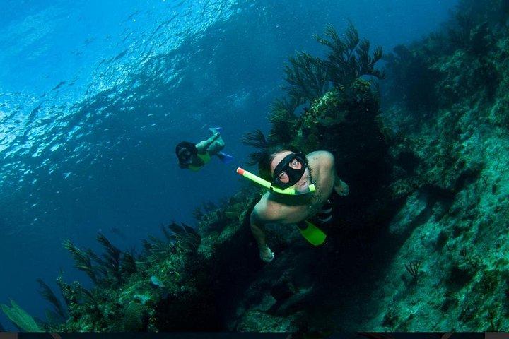 Providenciales: Emerald Reef and Shipwreck Snorkeling Tour