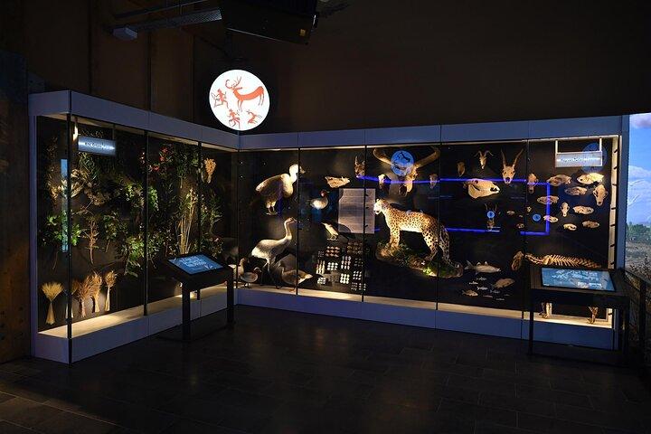 Archäologische Ausgrabungsstätte Çatalhöyük und virtuelles Museum