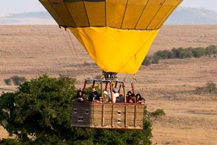 7-Day Masai Mara Nakuru Amboseli Kenya Budget Safari