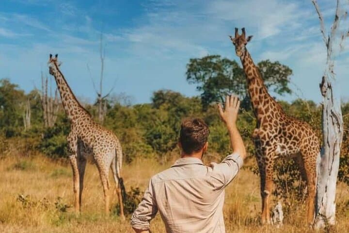 7-Day Masai Mara Nakuru Amboseli Kenya Budget Safari