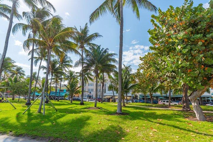 Joys of Miami : 歴史的な家族散策ツアー