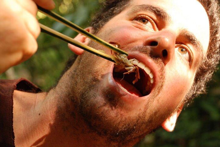 チェンライ：トレッキング＆竹料理ツアー
