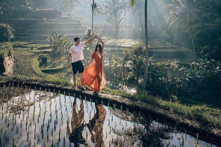 Ubud Tour: Monkey Forest, vandfald, tempel og ris terrasser