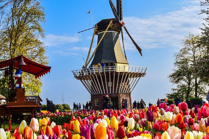 Visite privée des jardins de Keukenhof + expérience des tulipes de Tulperij