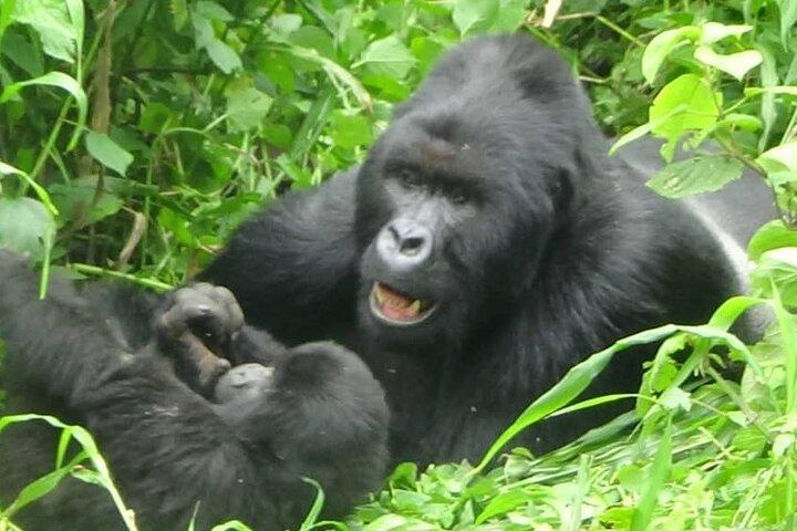 Roadtrip di 29 giorni Uganda, Ruanda, Congo RDC e Burundi