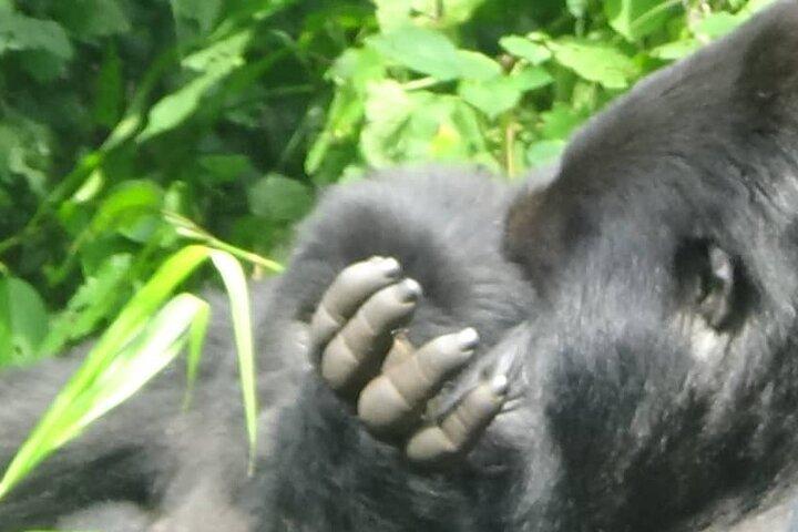 Roadtrip di 29 giorni Uganda, Ruanda, Congo RDC e Burundi