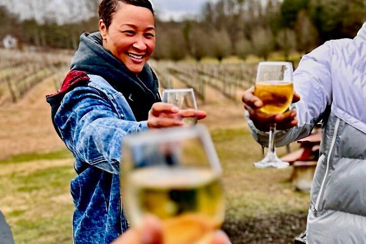 Helen N. Georgia Private Weinguttour, Essen und Einkaufen ab Atlanta
