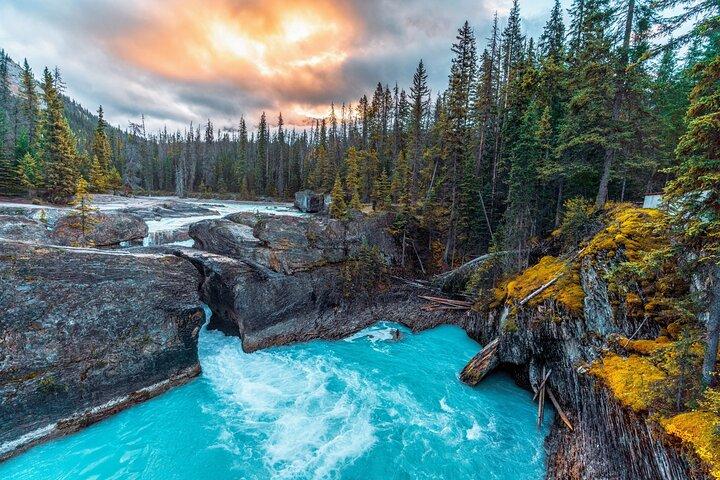8 paradas icónicas. 12 asientos cómodos. Vea el mejor de Banff en primera clase.