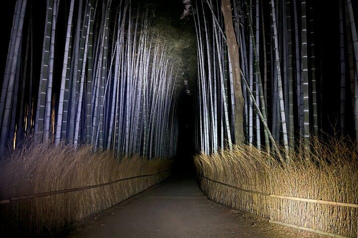 京都ゴーストツアー： 暗黒物語、都市伝説、竹林の夜