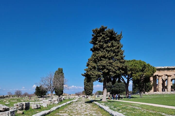 Full Day Private Tour-Temples of Paestum and Ruins of Pompeii