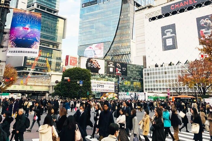 Private Full-day Tokyo Walking Subway Tour by Japan Gray Line
