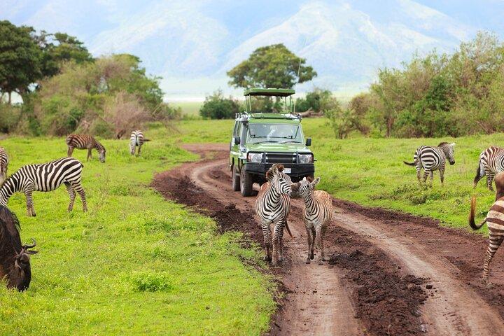 7 dages safaritur til det nordlige Tanzanias nationalpark