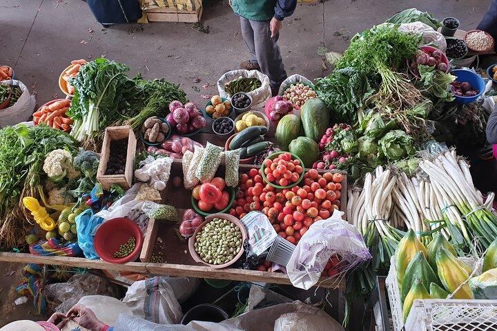 21-daagse Ecuador-tour door de jungle en het nevelwoud van de Andes