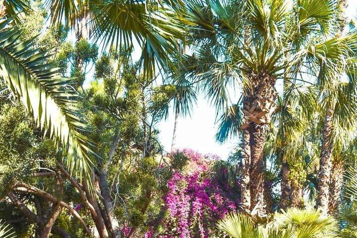Experiencia en el jardín Majorelle: entradas y traslados sin complicaciones