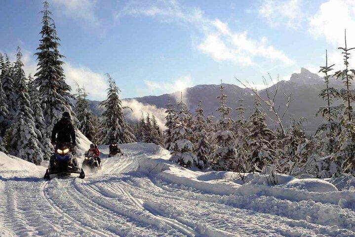 Excursión de 3 horas a la naturaleza en Whistler