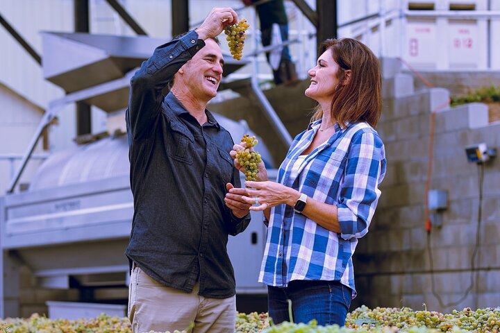 Visite du vin de Temecula tout compris - dégustations, déjeuner, ramassage à l'hôtel