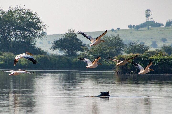 Lac Naivasha et Hells Gate Excursion d'une journée tous les jours