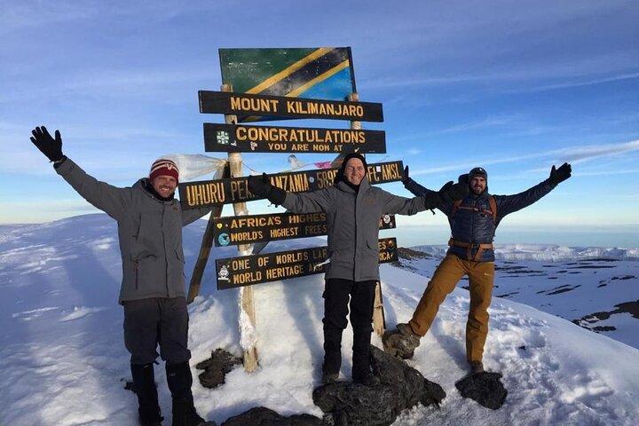 12 dagars Tanzania-resa Kilimanjaro Lemosho Trek och Safari Combo