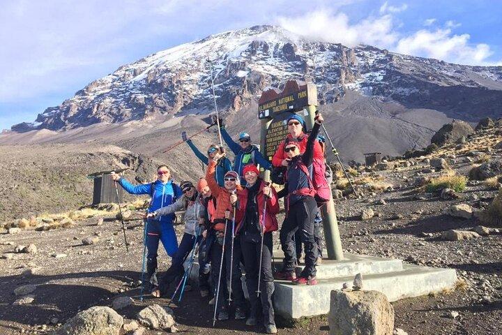 12 dagars Tanzania-resa Kilimanjaro Lemosho Trek och Safari Combo