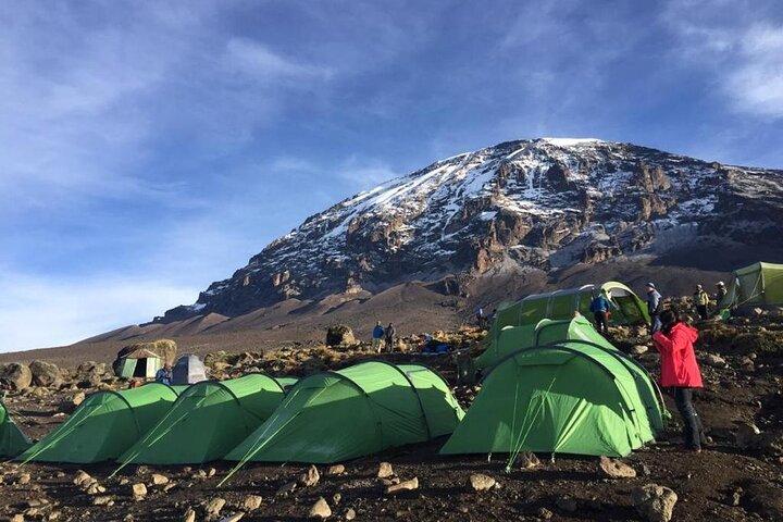 12 dagars Tanzania-resa Kilimanjaro Lemosho Trek och Safari Combo