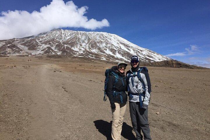 12 dagars Tanzania-resa Kilimanjaro Lemosho Trek och Safari Combo