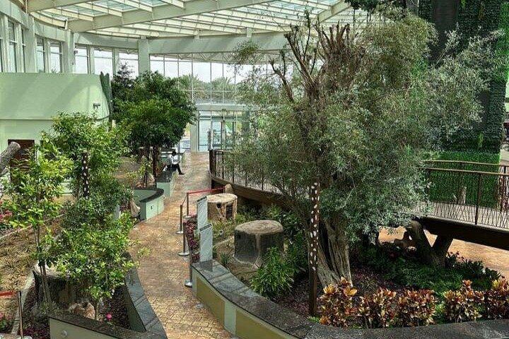 Parco Quranic e Moschea di Jumeirah con trasferimento